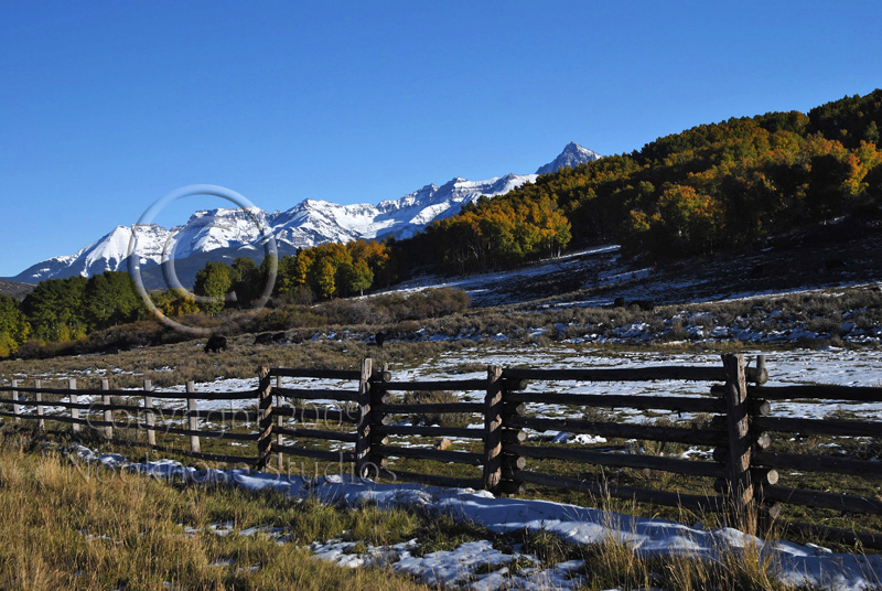 Colorado Fall 31